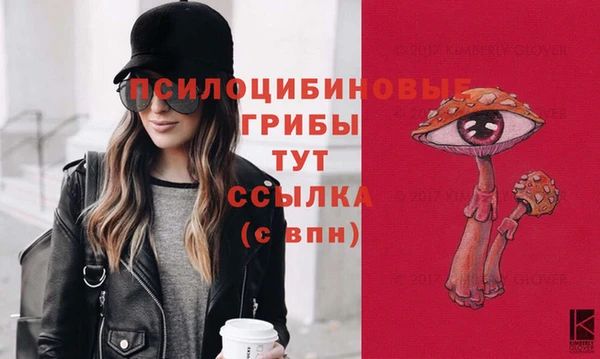 сатива Липки