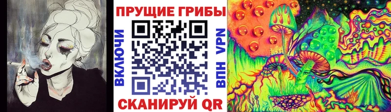 ОМГ ОМГ ТОР  Мещовск  Галлюциногенные грибы прущие грибы 